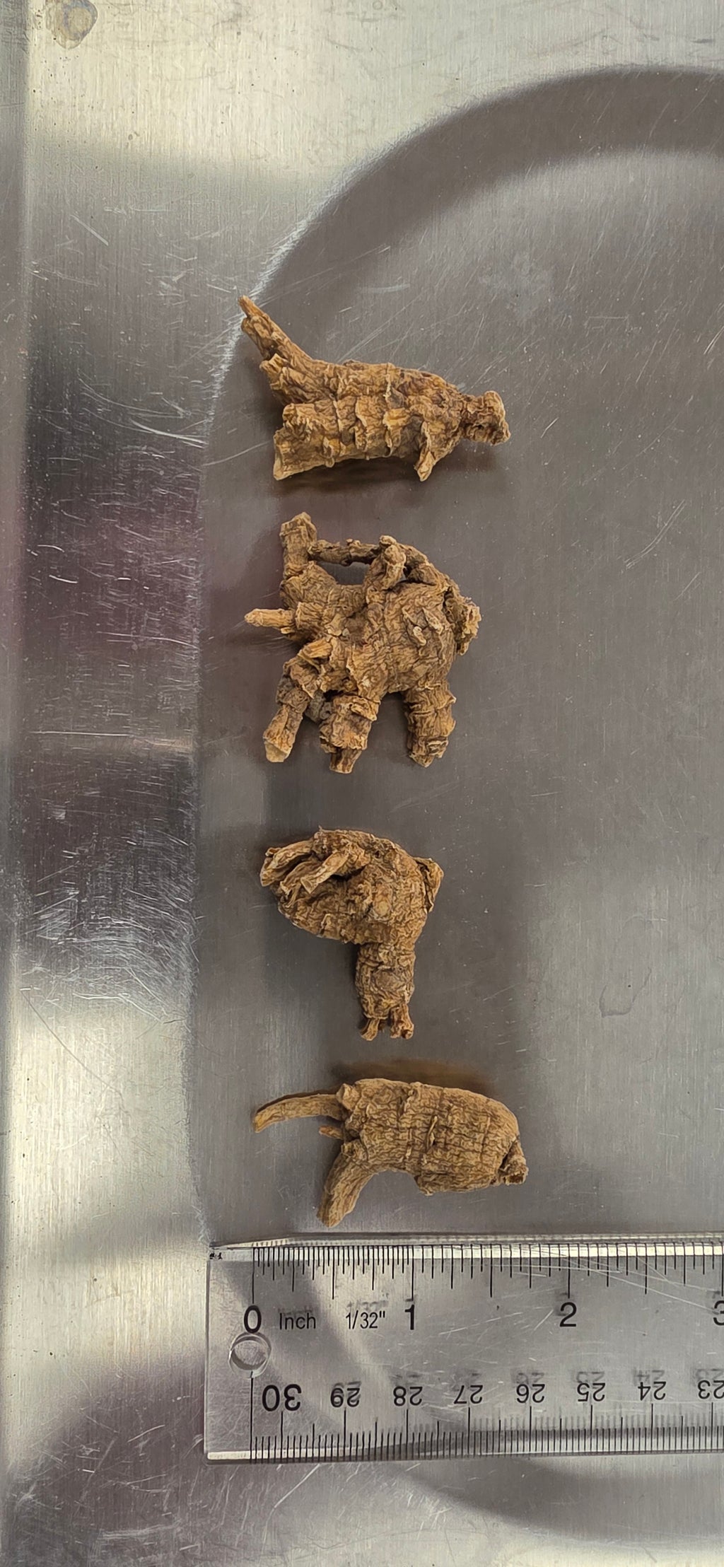 Small Pearl Ginseng 3 year