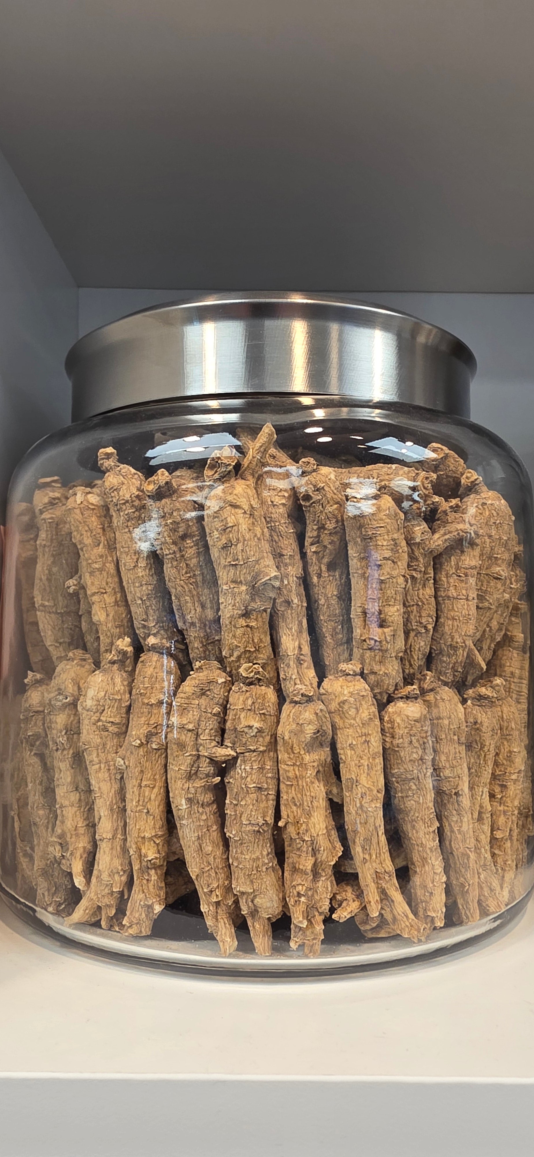 Large Short Ginseng 3 year R3023