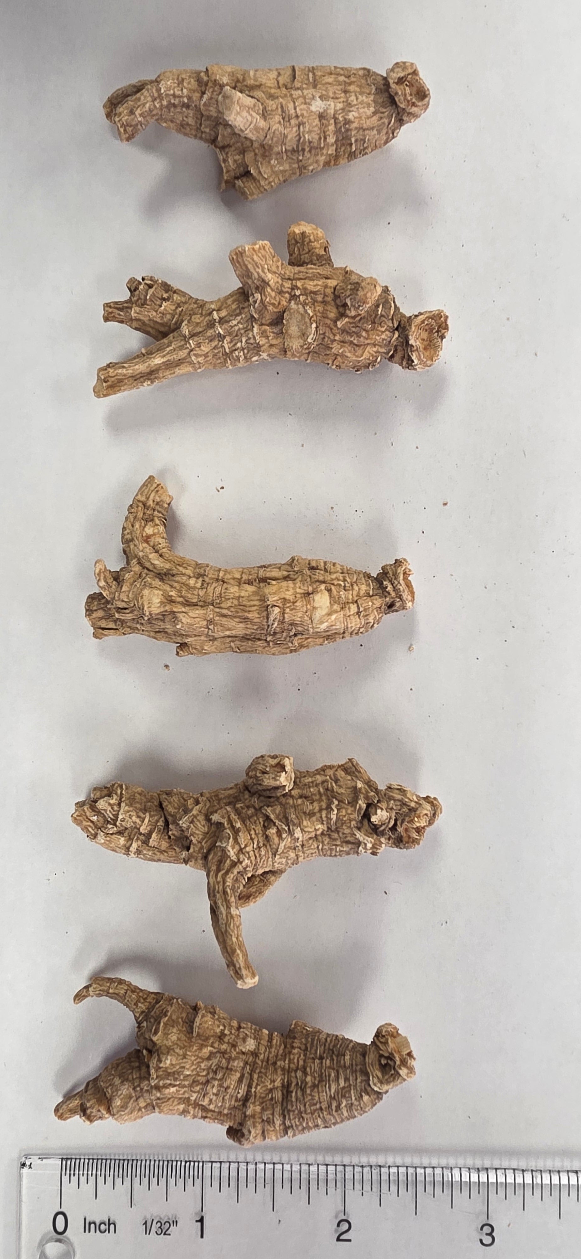 Large Round Ginseng 4 year K4023