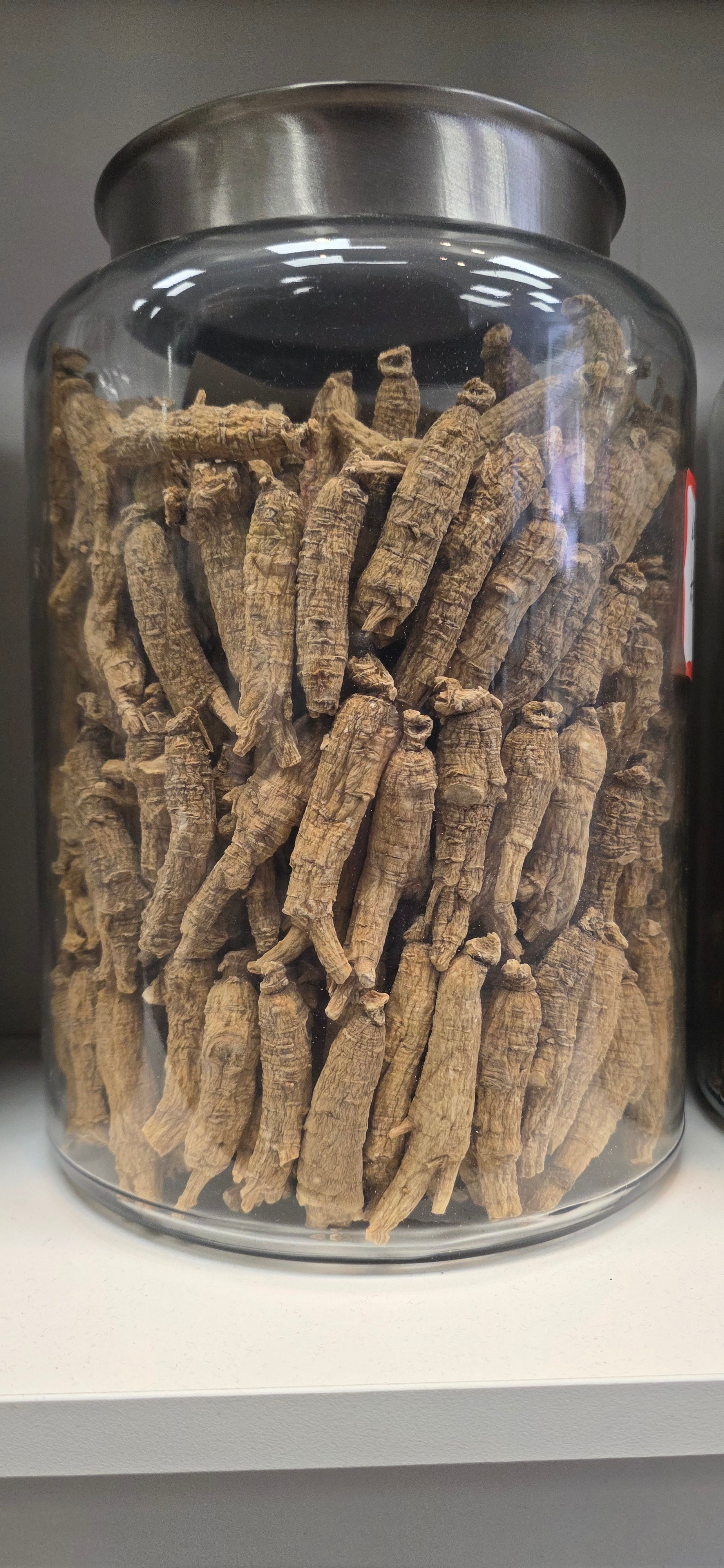 Large Short Ginseng 4 year K4023