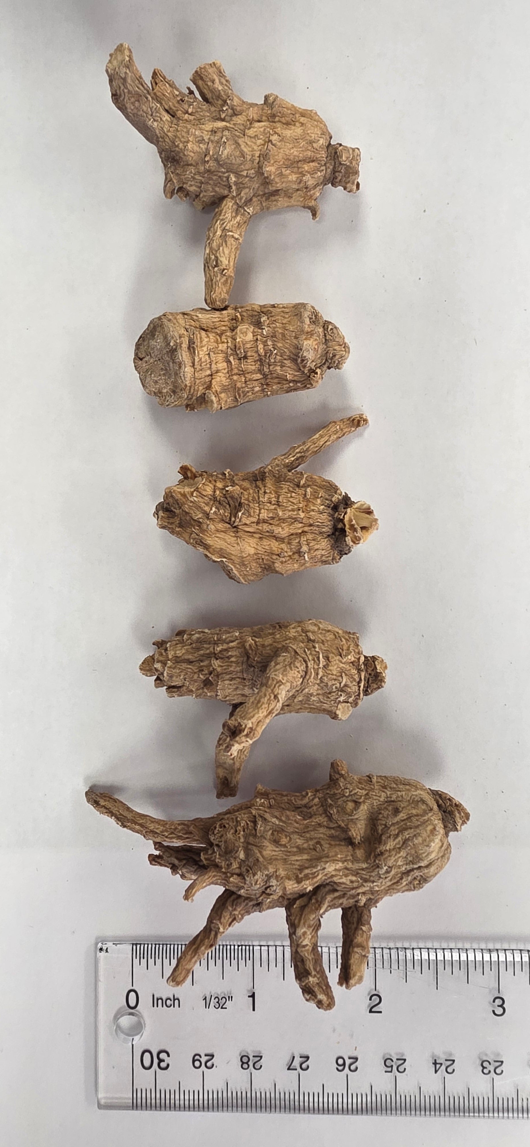 Large Pearl Round Ginseng AAA 3 year R3023