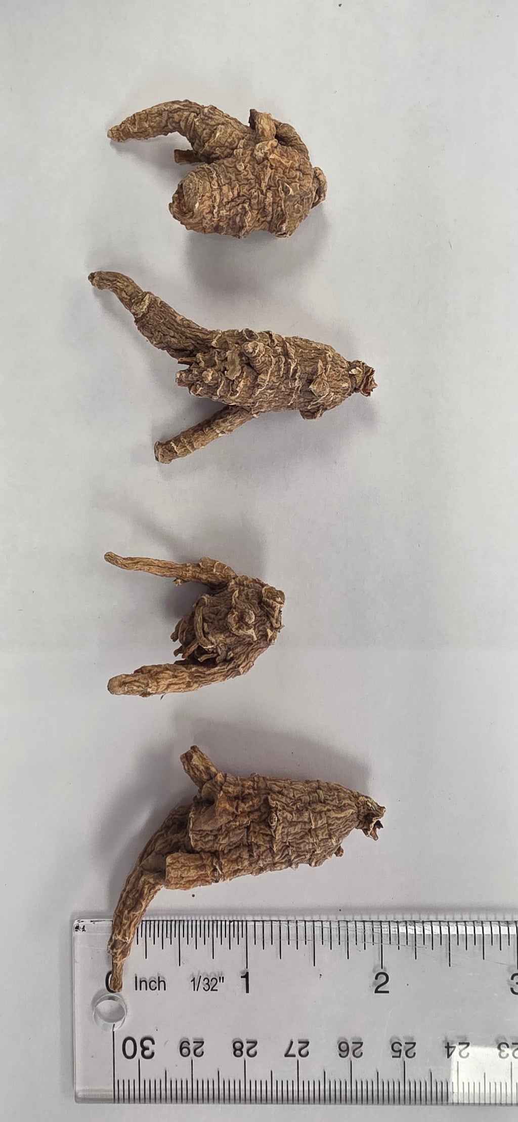 Small Pearl Round Ginseng 3 year K3023