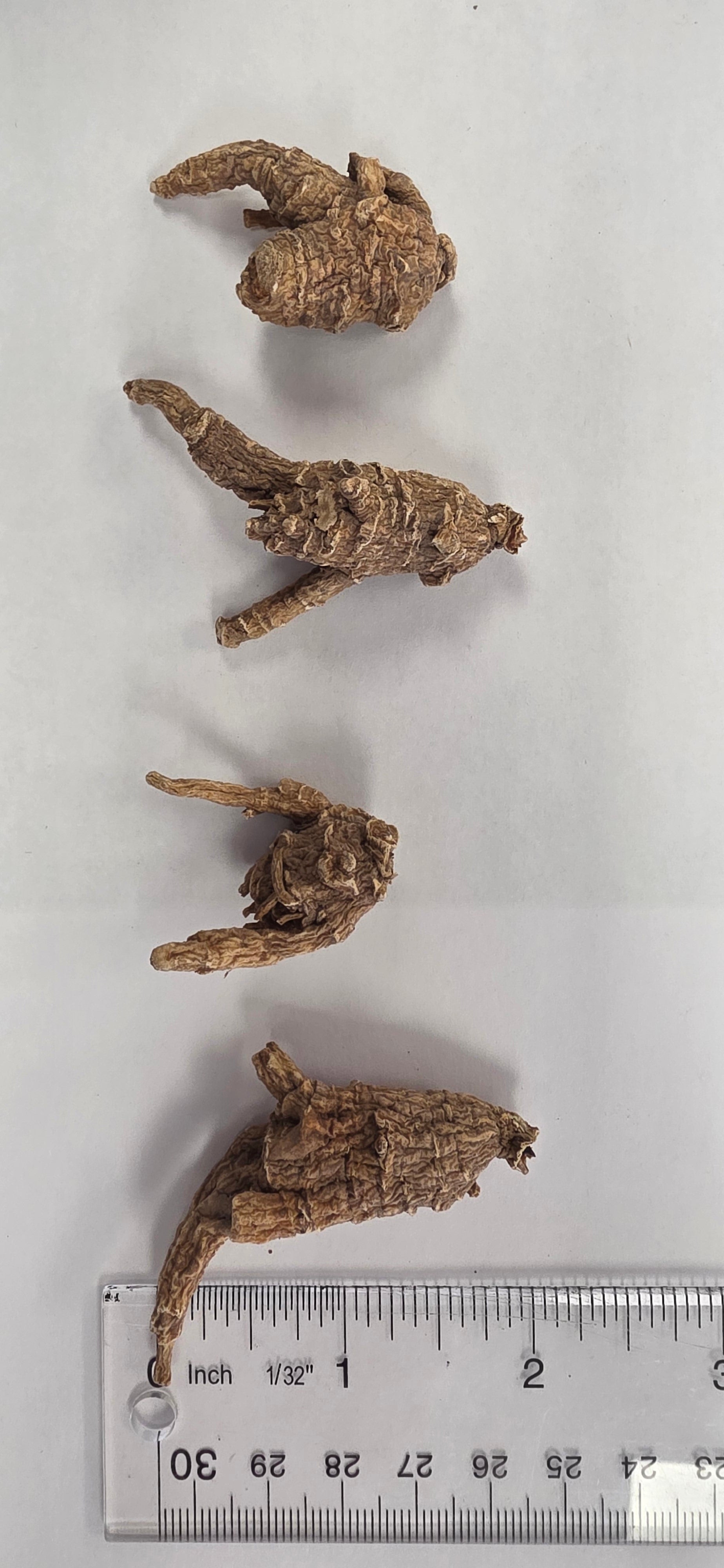 Small Pearl Round Ginseng 3 year K3023