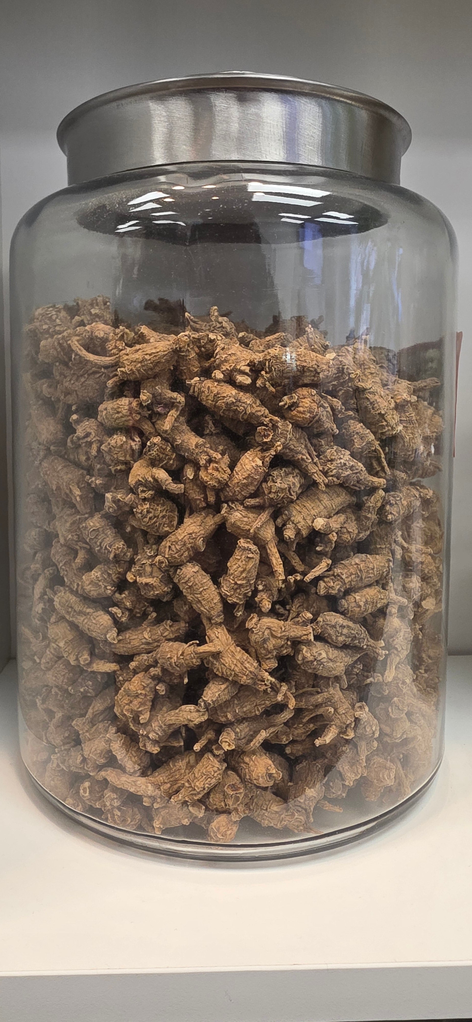 Mini Pearl Ginseng 3 year K3023