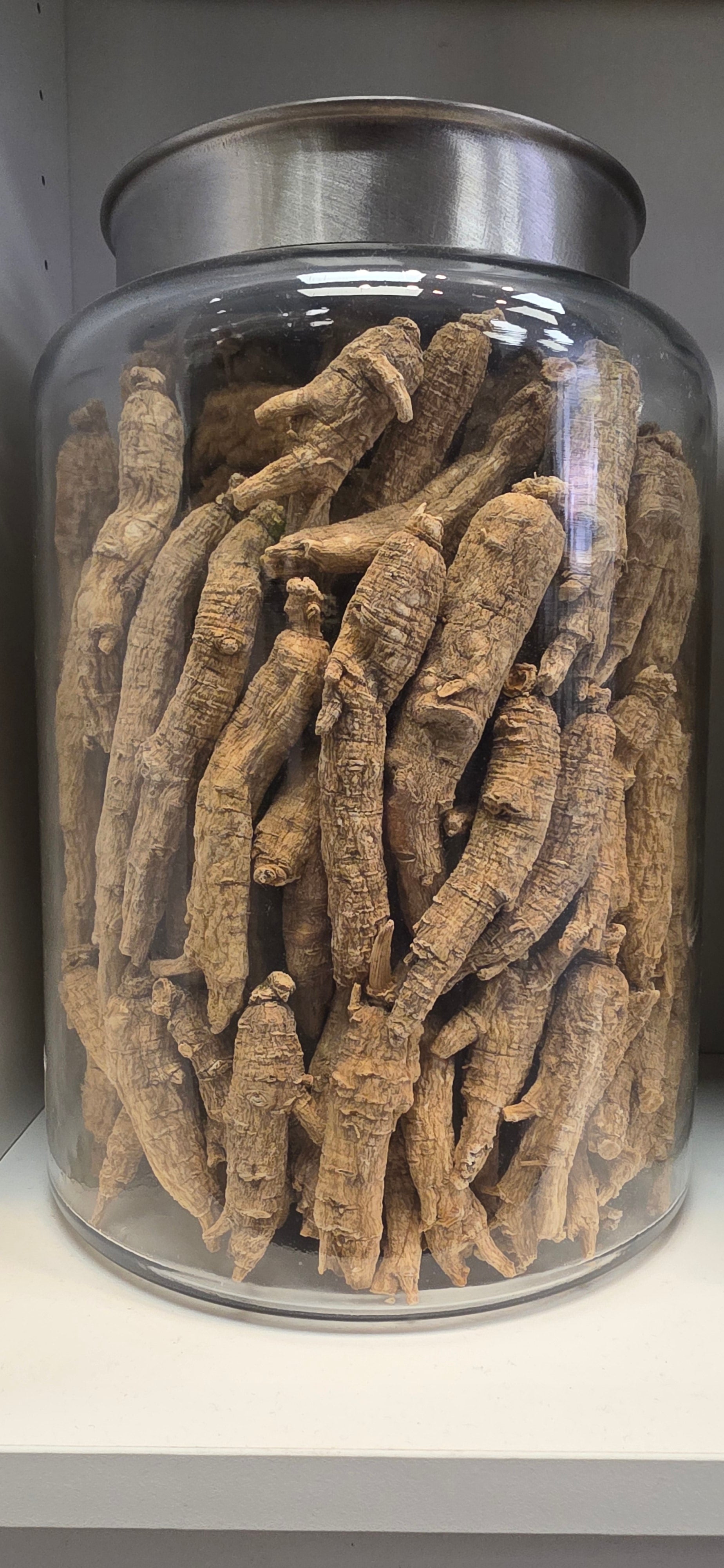 Large Extra Long Ginseng 4 year K4023