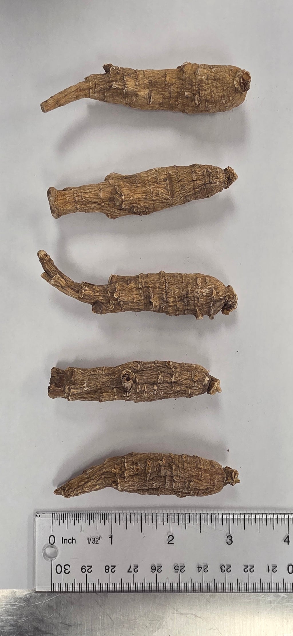 Large Short Ginseng AAA 3 year K3023