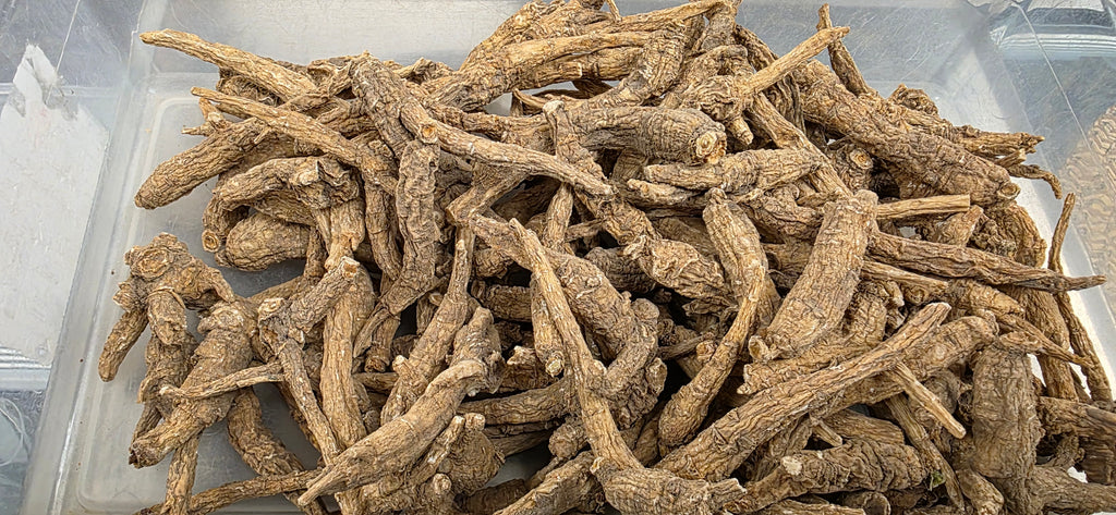 Wisconsin Ginseng R3025