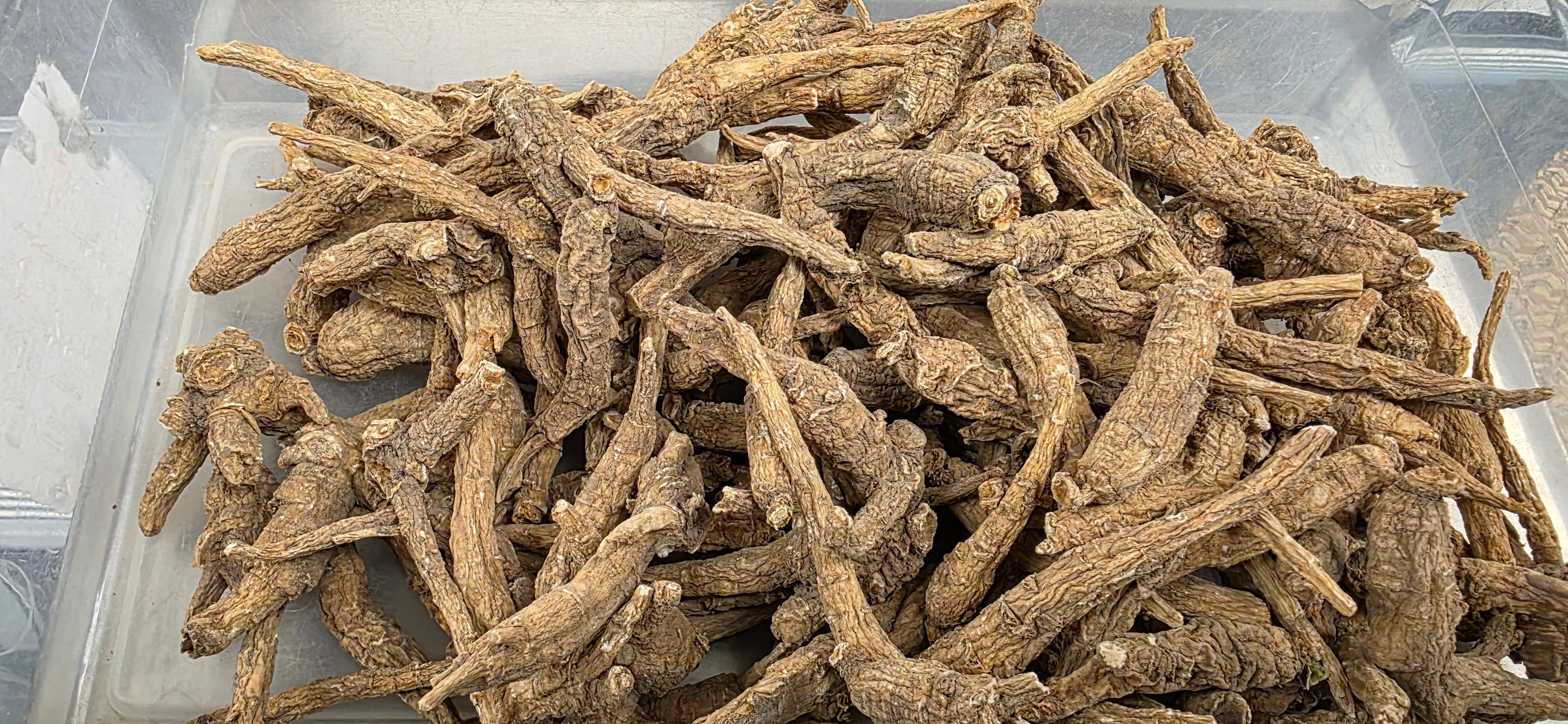 Wisconsin Ginseng R3025