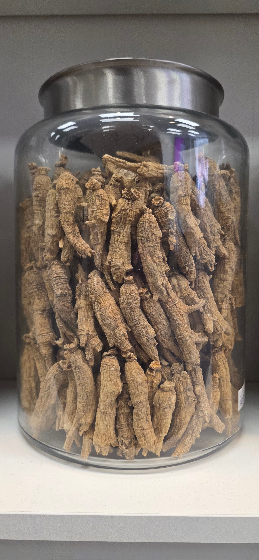 Large Short Ginseng 4 year K4023