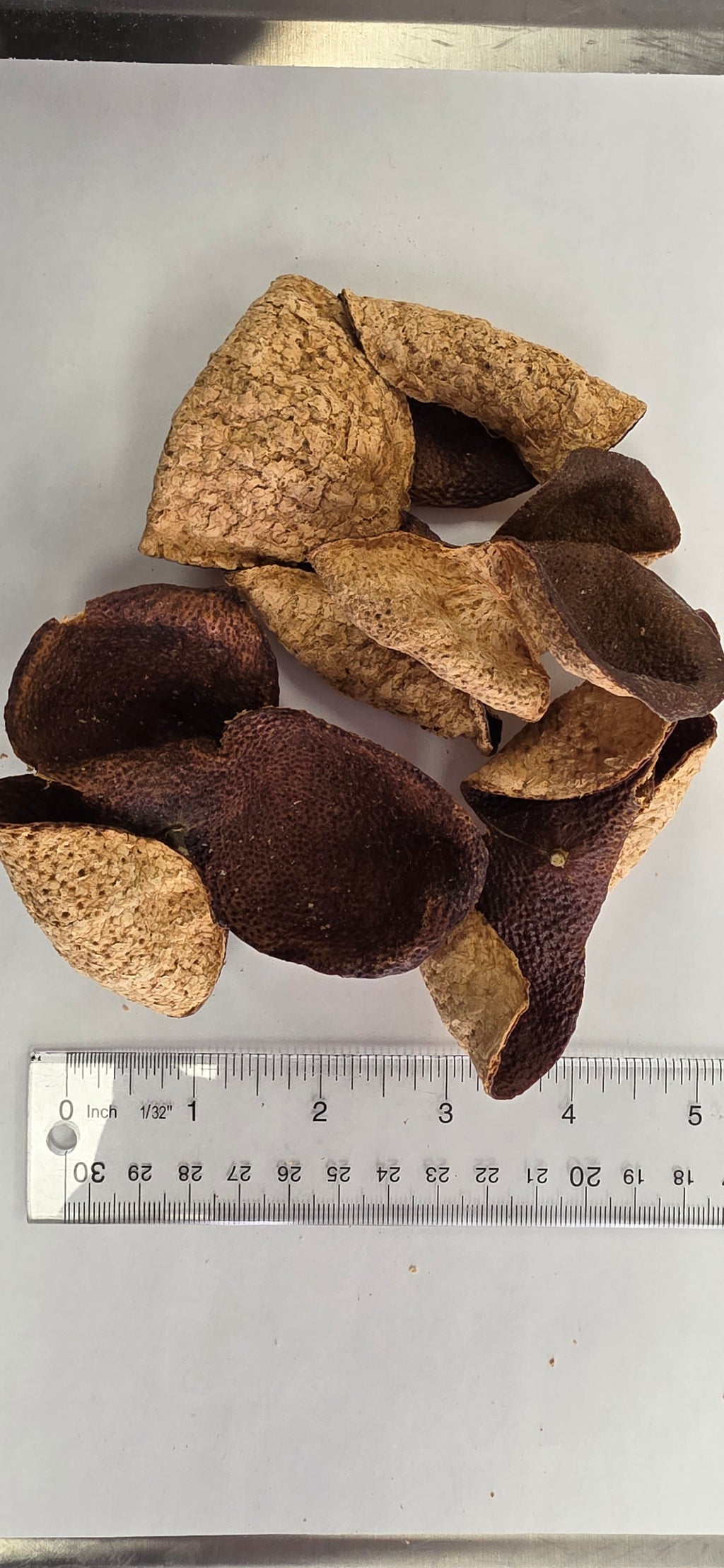 10 year Dried Mandarin Peel