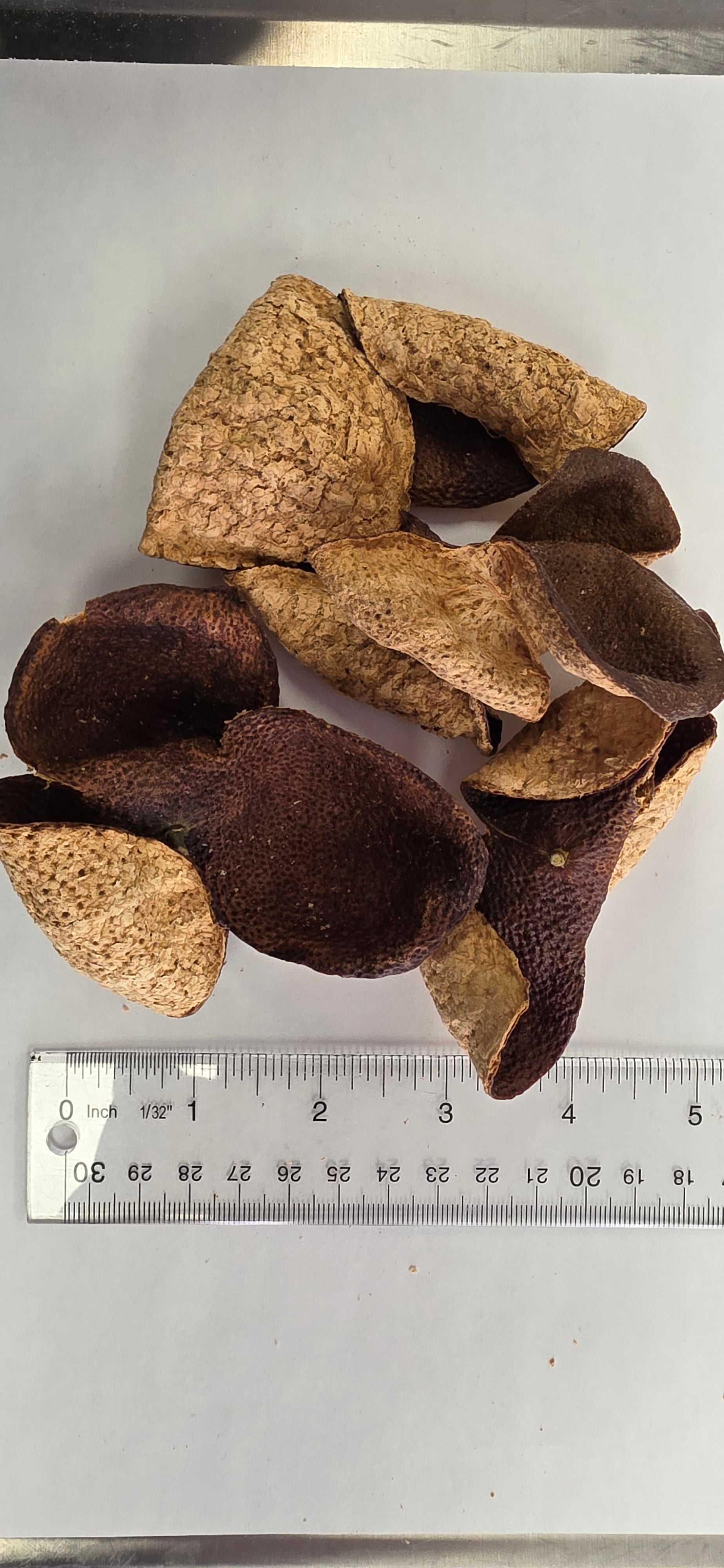 10 year Dried Mandarin Peel