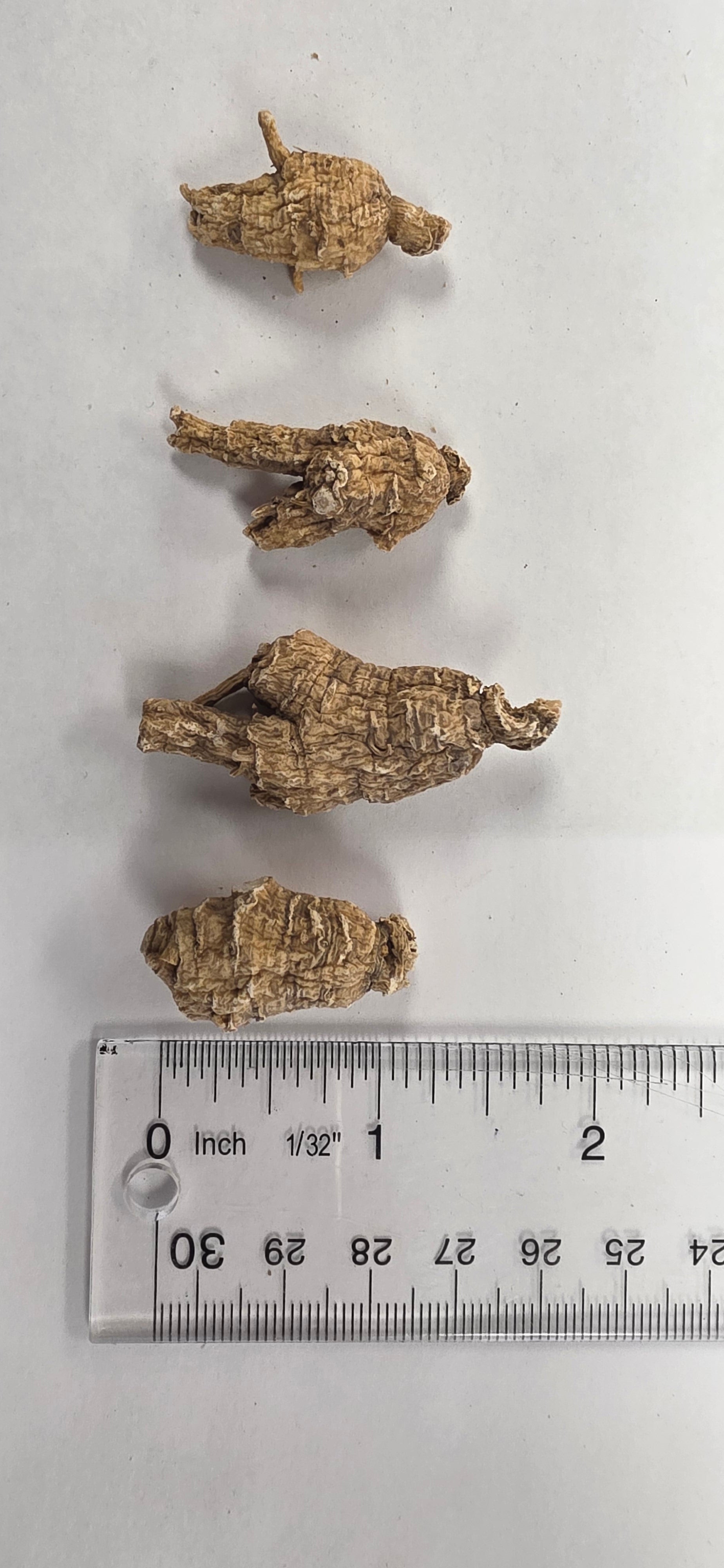 Small Pearl Round Ginseng 4 year K4023