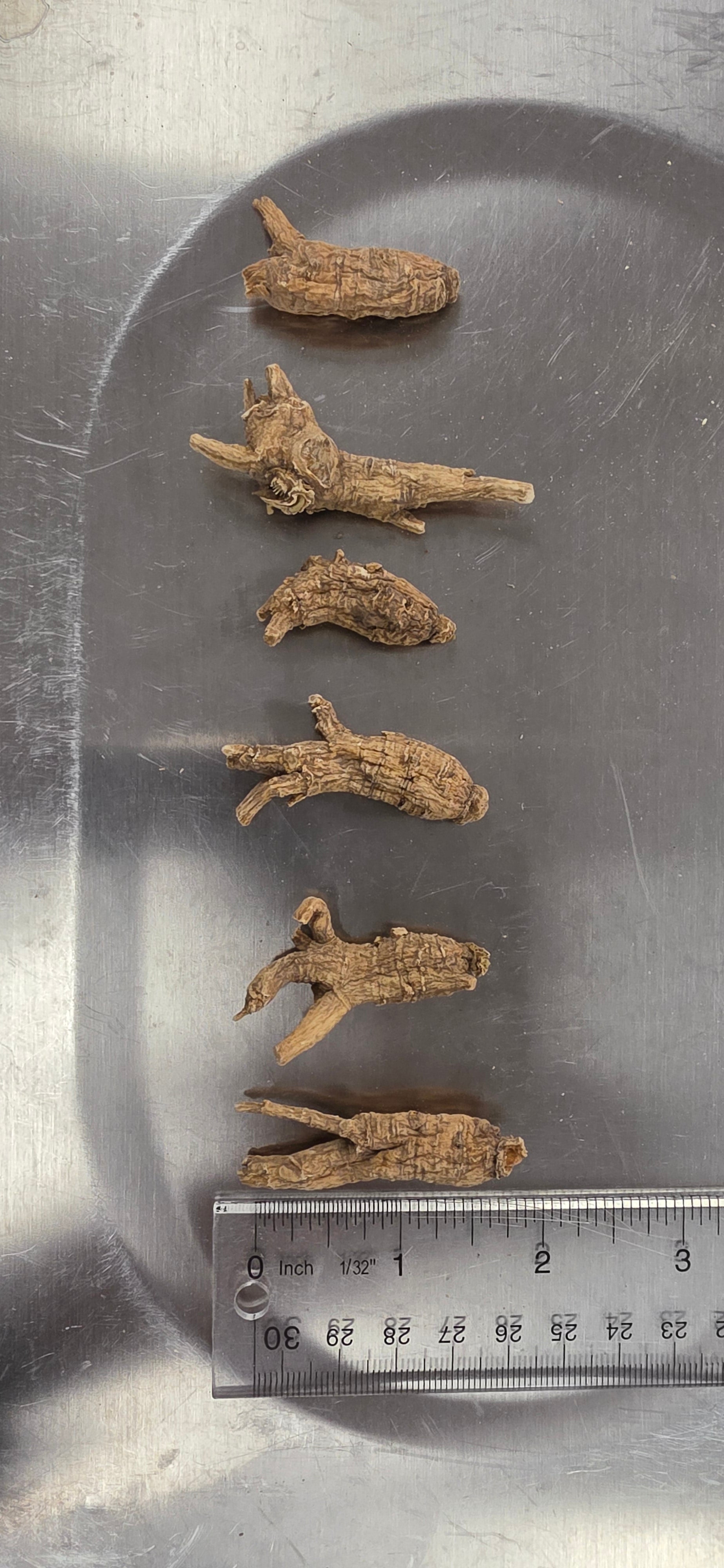 Extra Small Ginseng 3 year