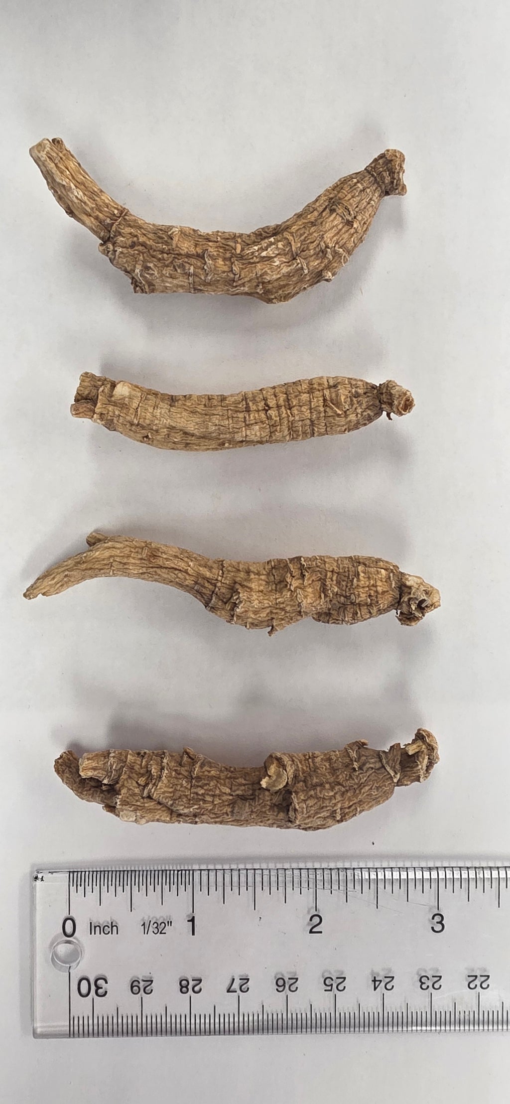 Small Short Ginseng 4 year K4023