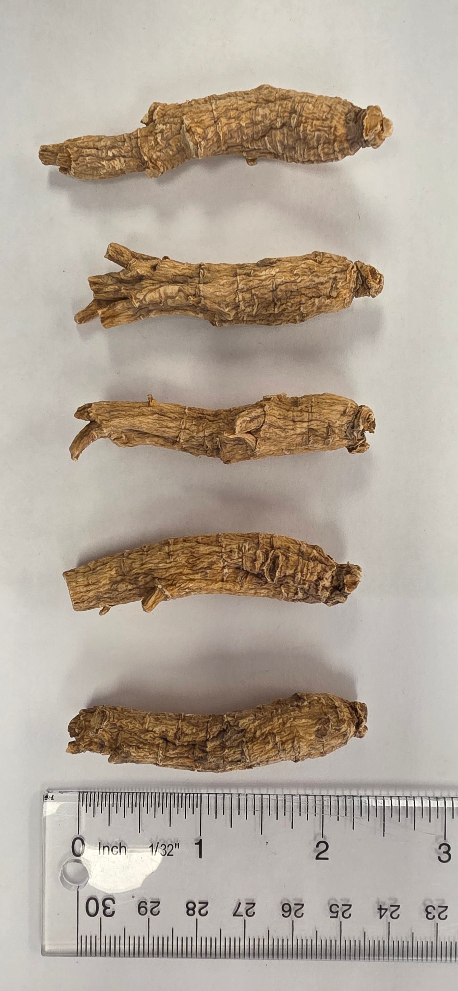 Small Round Ginseng 3 year R3023