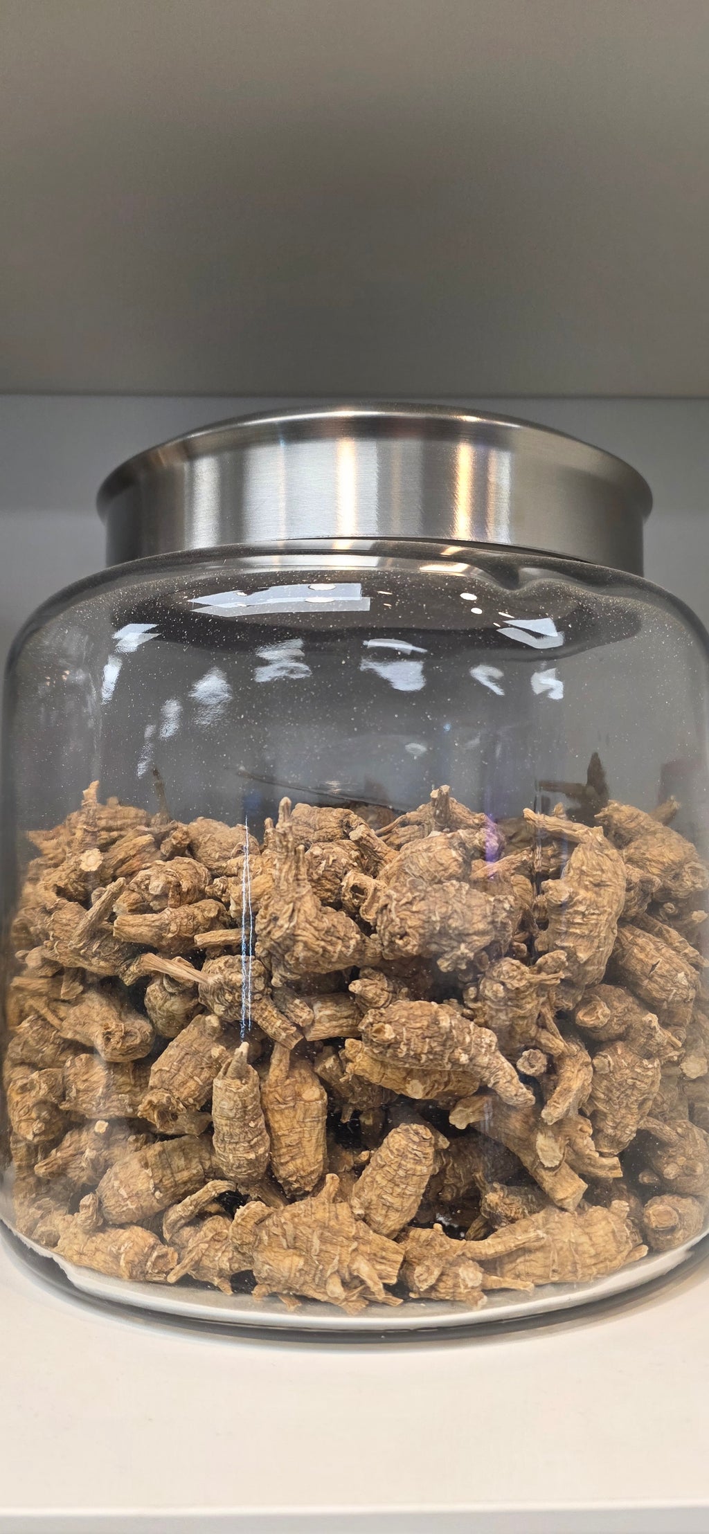 Large Pearl Ginseng 4 year K4023