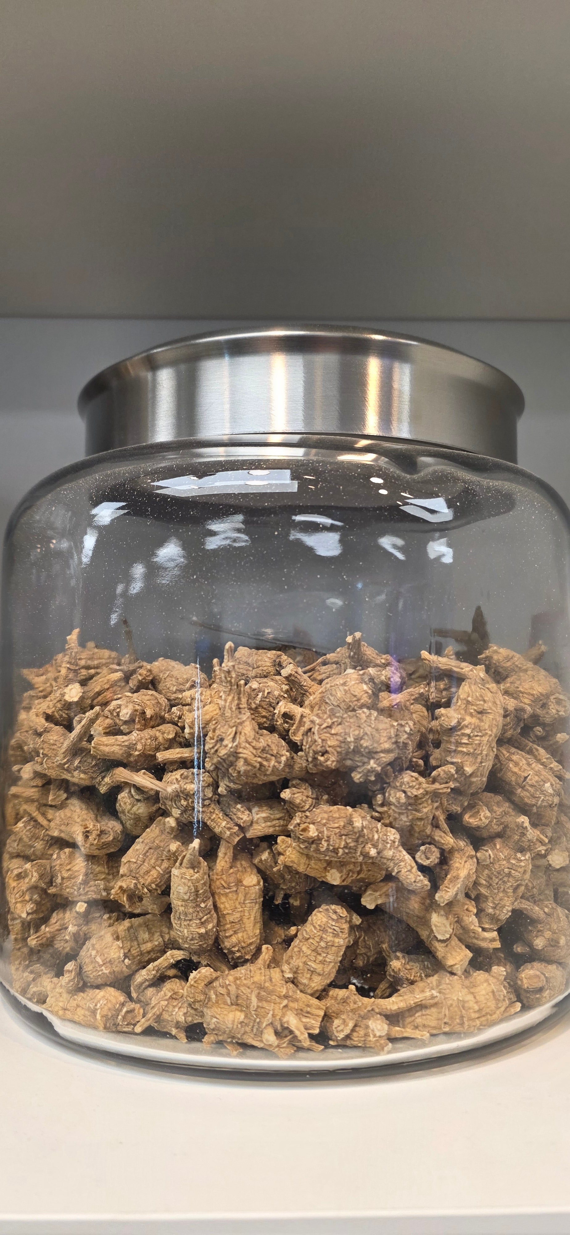 Large Pearl Ginseng 4 year K4023