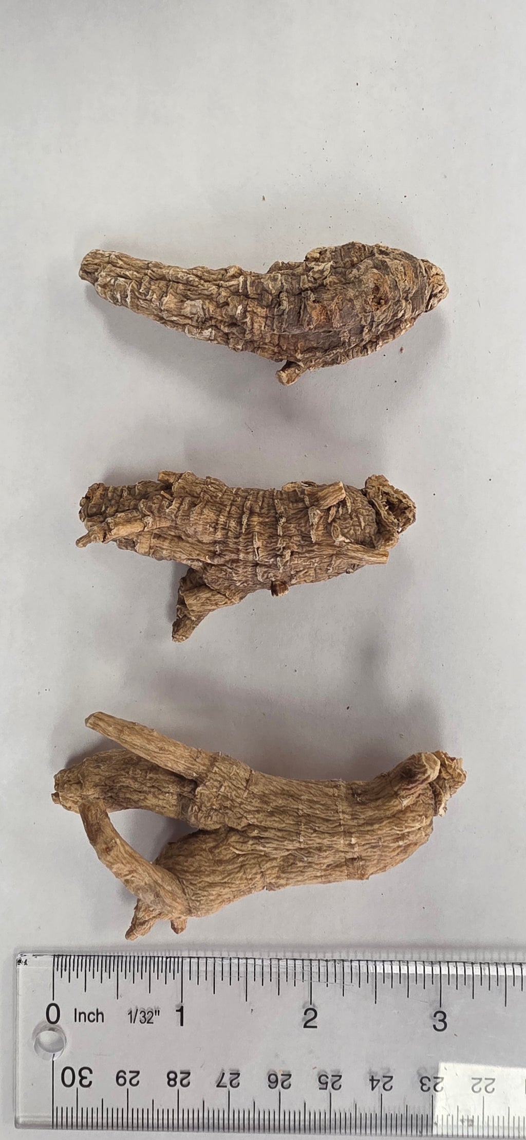 Large Round Ginseng AAA 4 year K4023