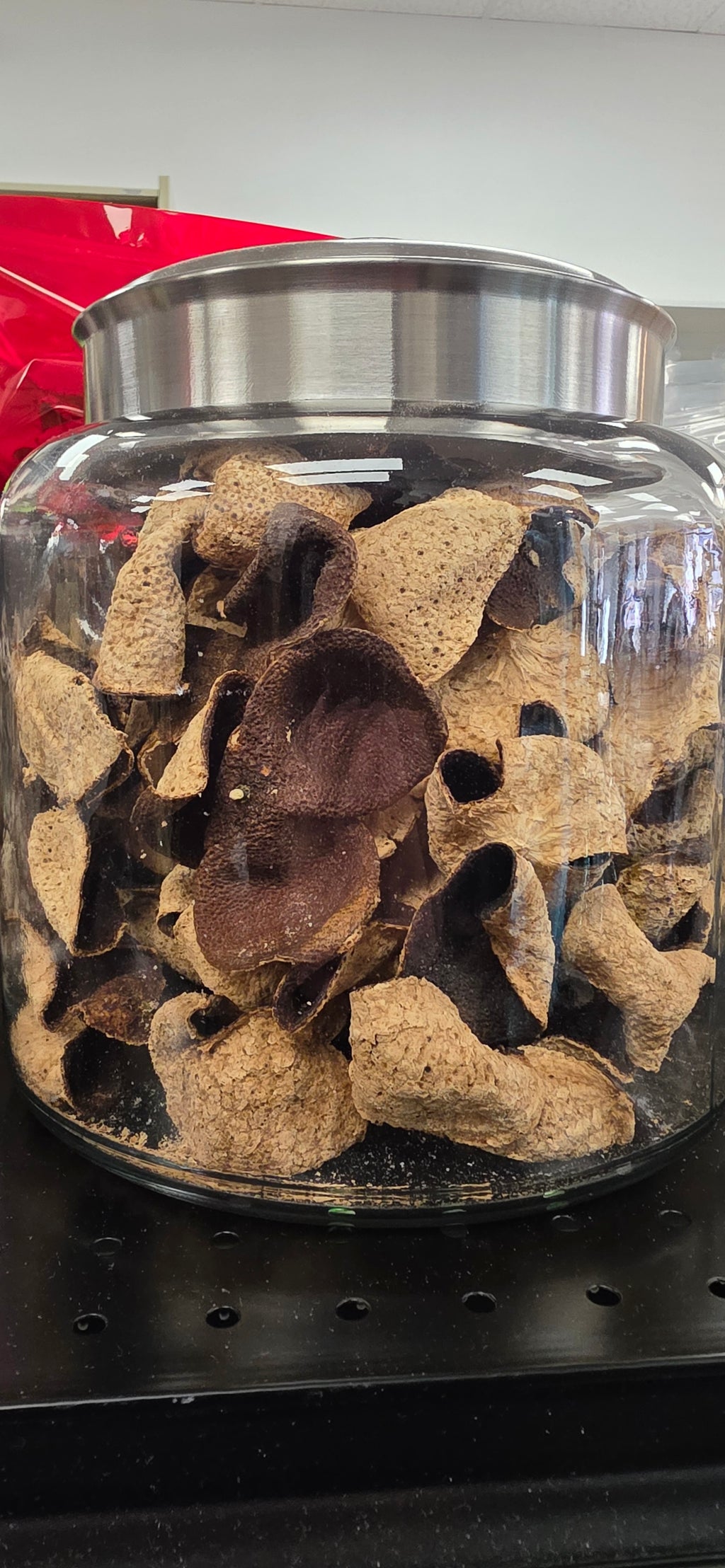 10 year Dried Mandarin Peel