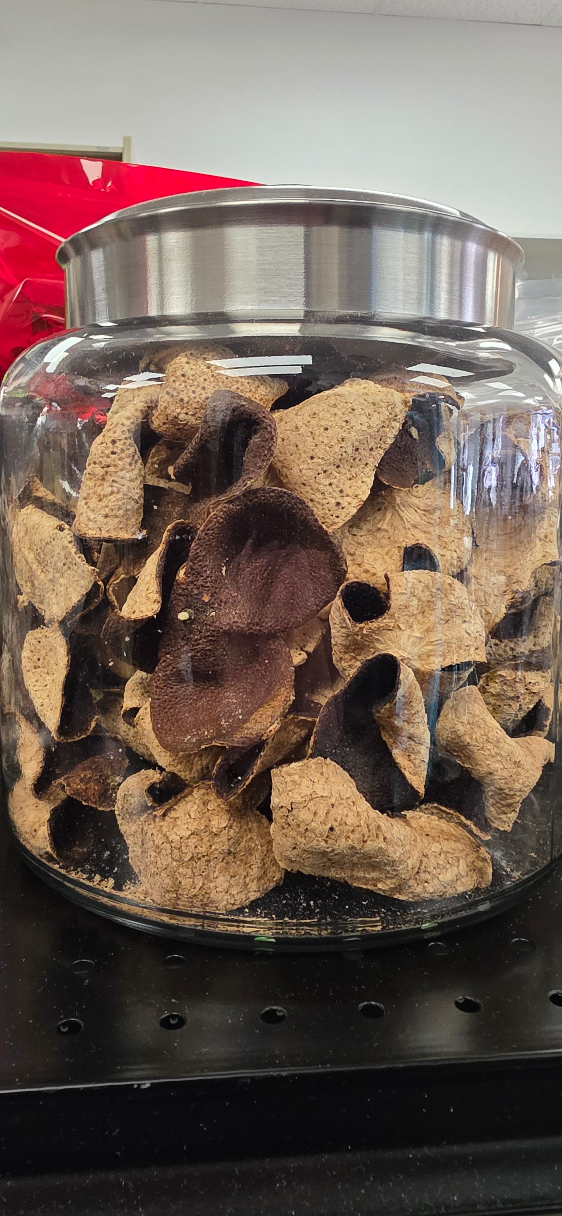 10 year Dried Mandarin Peel