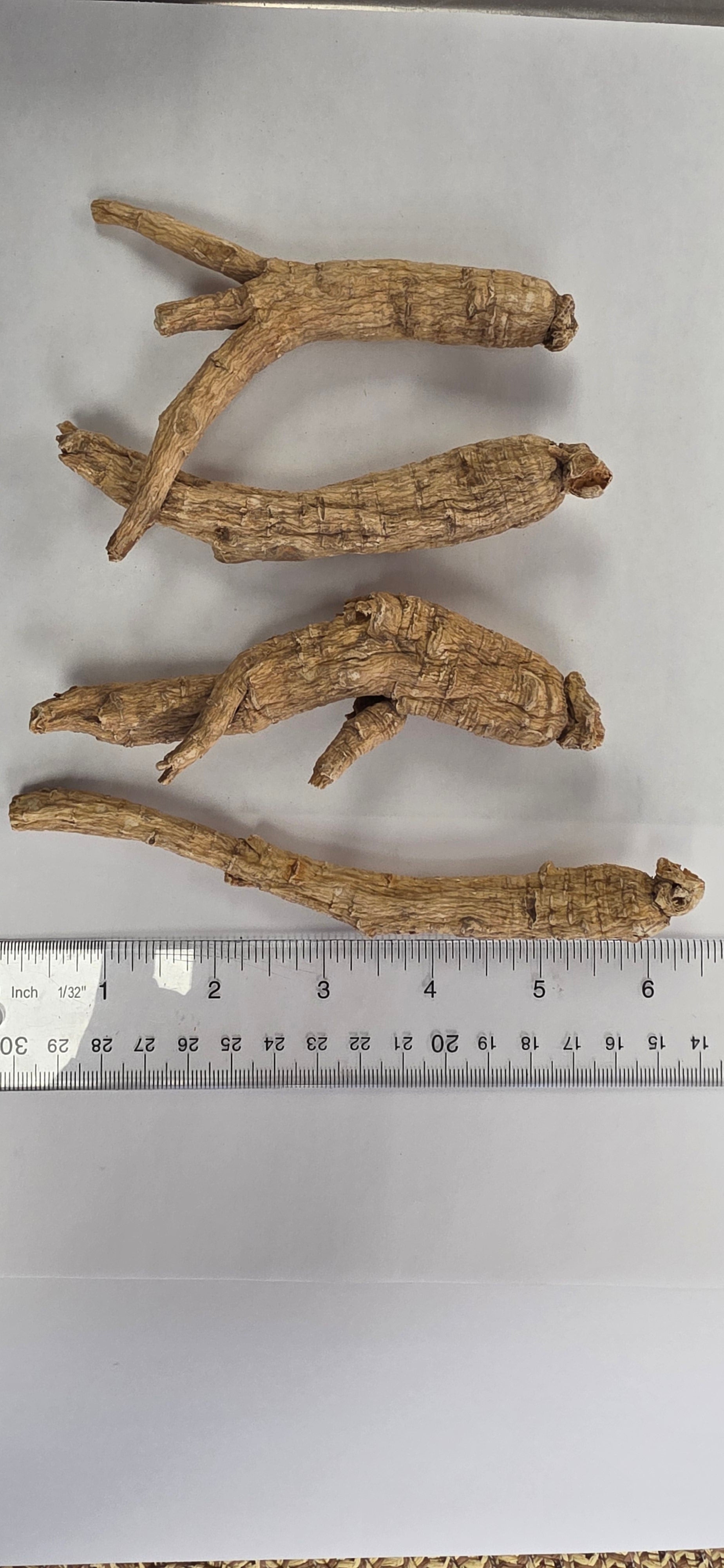 Large Extra Long Ginseng 4 year K4023