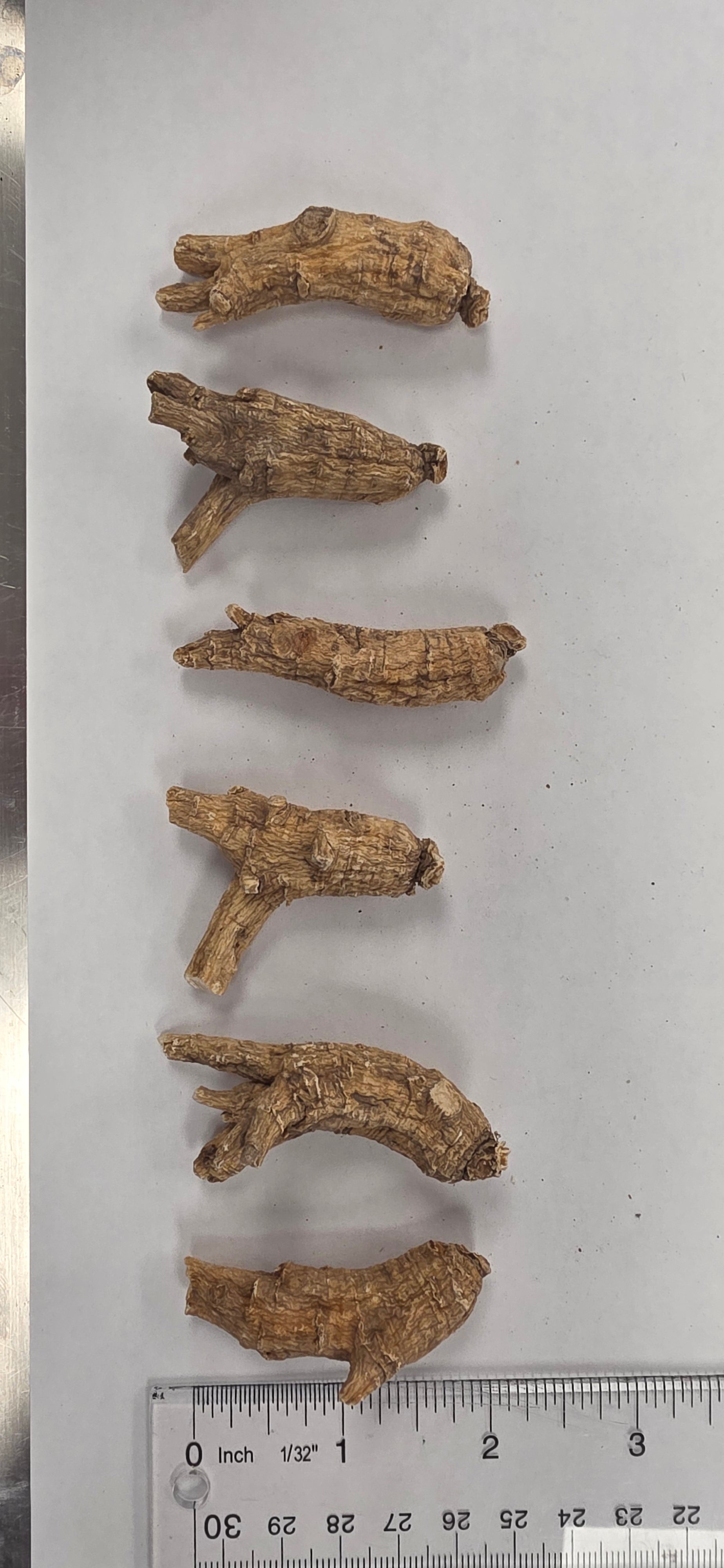 Large Round Ginseng 3 year R3023