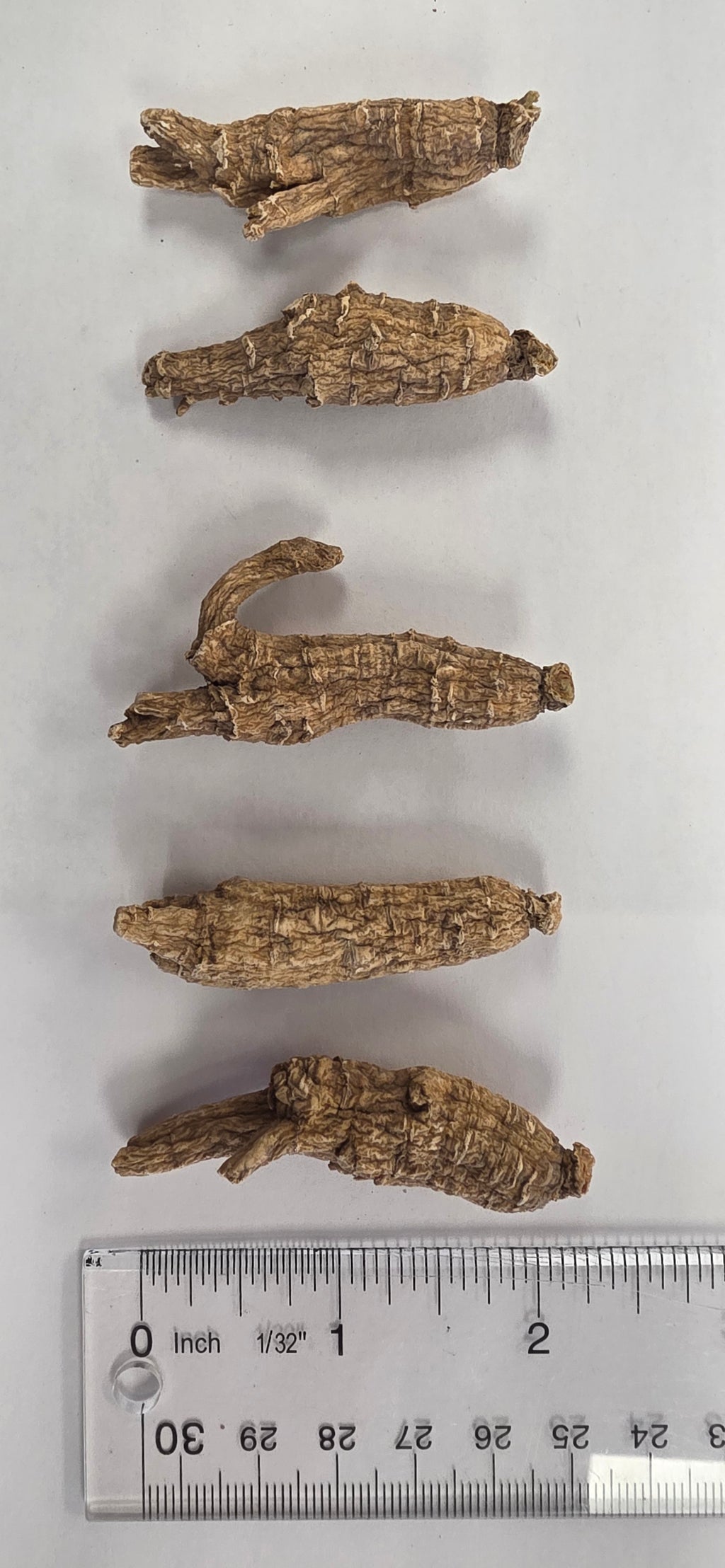 Small Medium Round Ginseng 3 year K3023