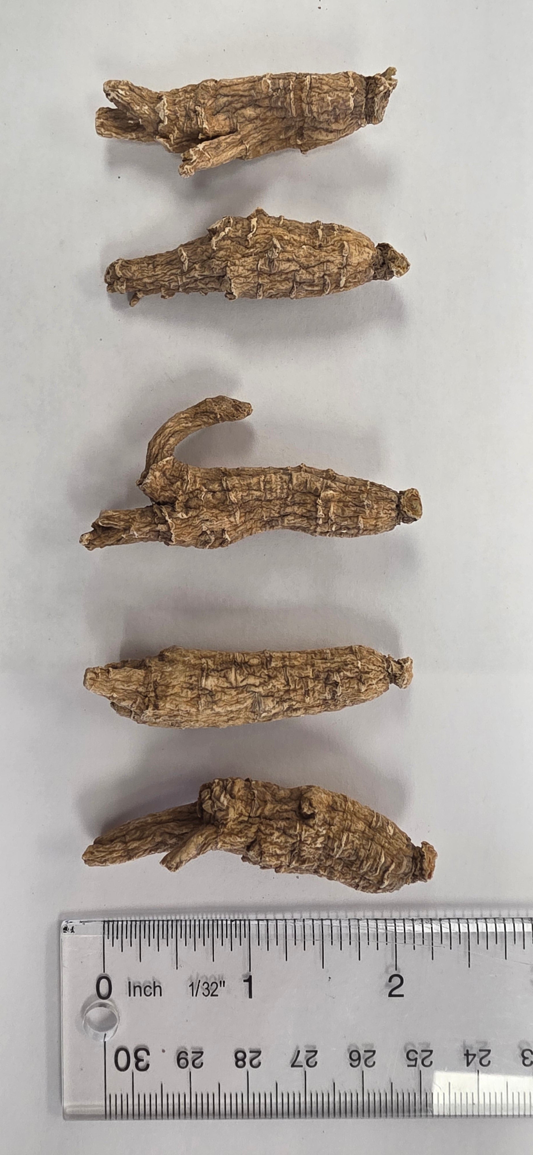 Small Medium Round Ginseng 3 year K3023